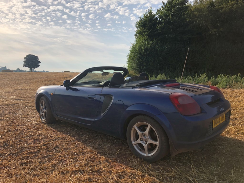 The lowering is a side effect of the shagged suspension.